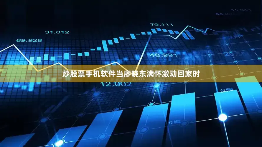 炒股票手机软件当廖晓东满怀激动回家时