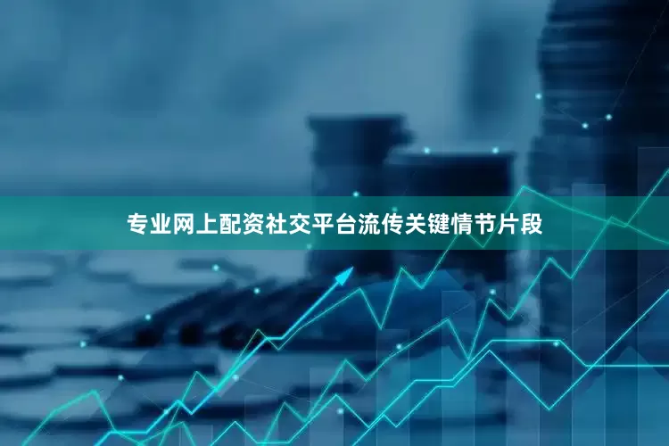专业网上配资社交平台流传关键情节片段