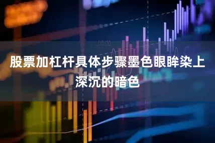 股票加杠杆具体步骤墨色眼眸染上深沉的暗色