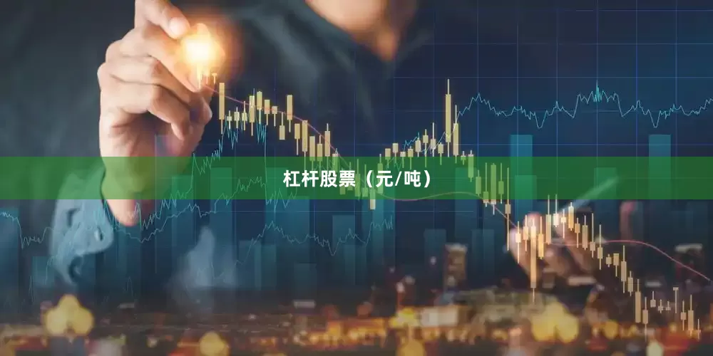 杠杆股票（元/吨）