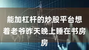 能加杠杆的炒股平台想着老爷昨天晚上睡在书房