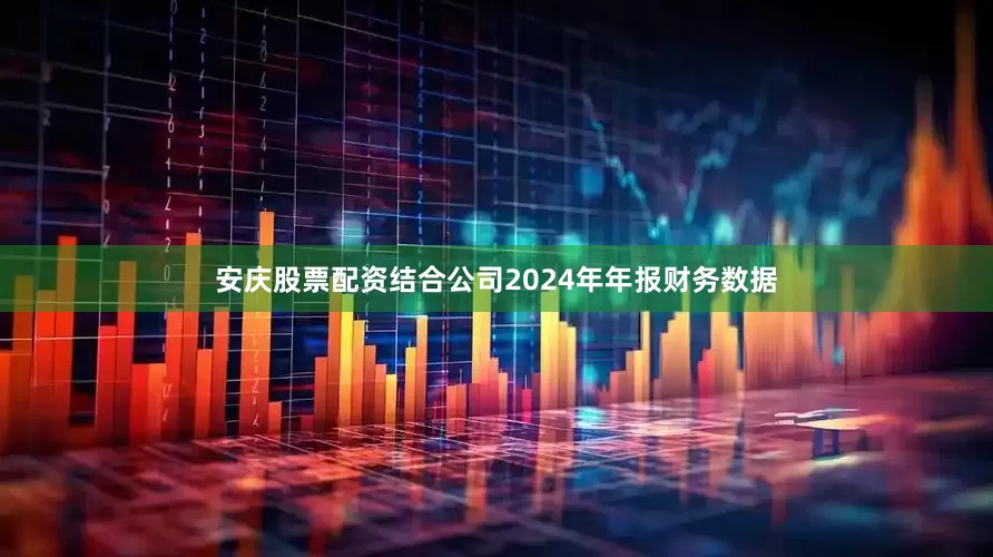 安庆股票配资结合公司2024年年报财务数据